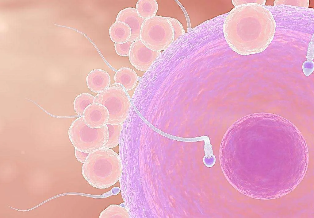 Let's talk about sperm