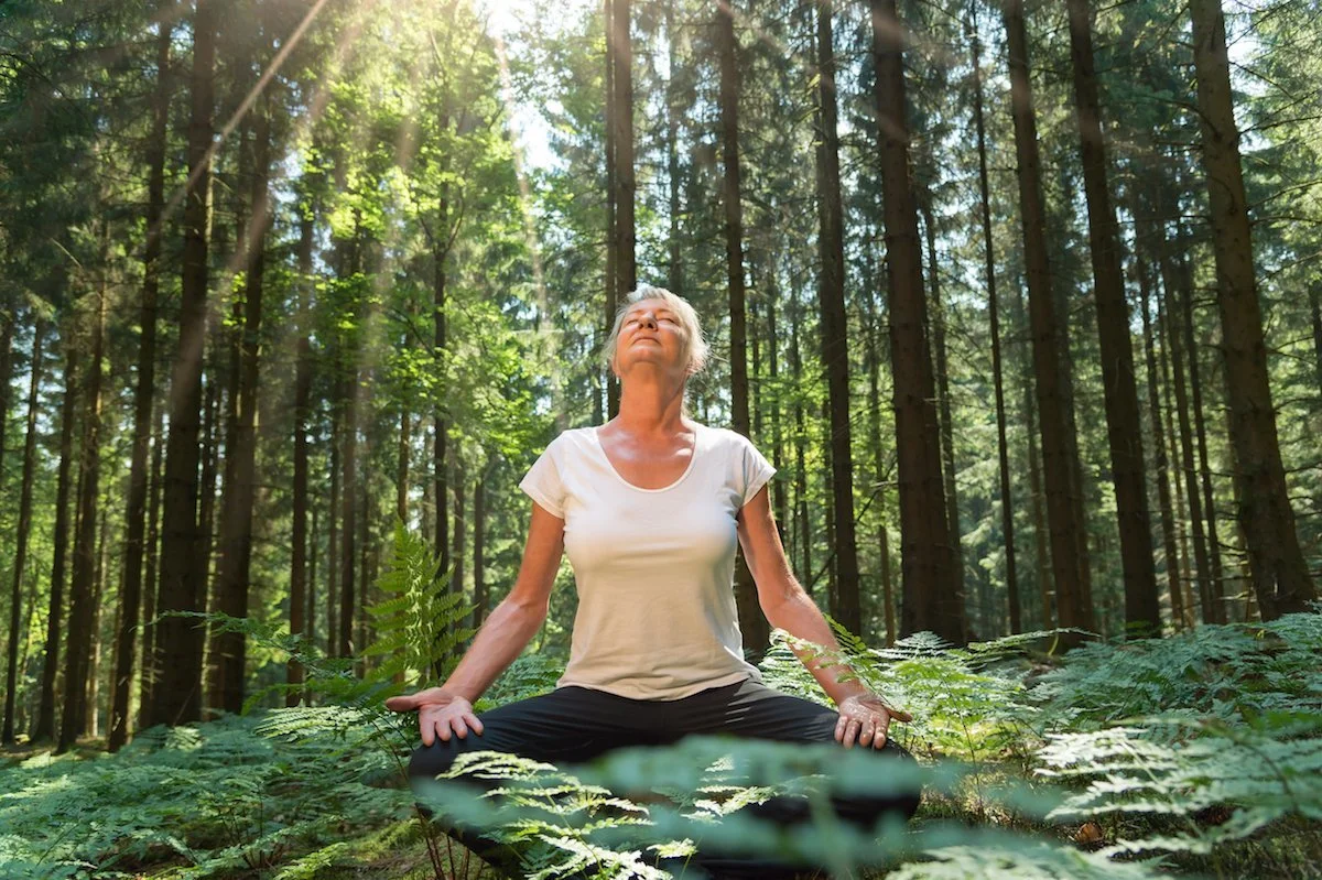 The Art of Forest Bathing