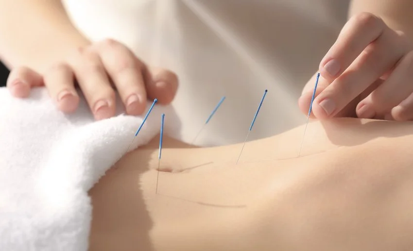 How Chinese Medicine Tackles Inflammation