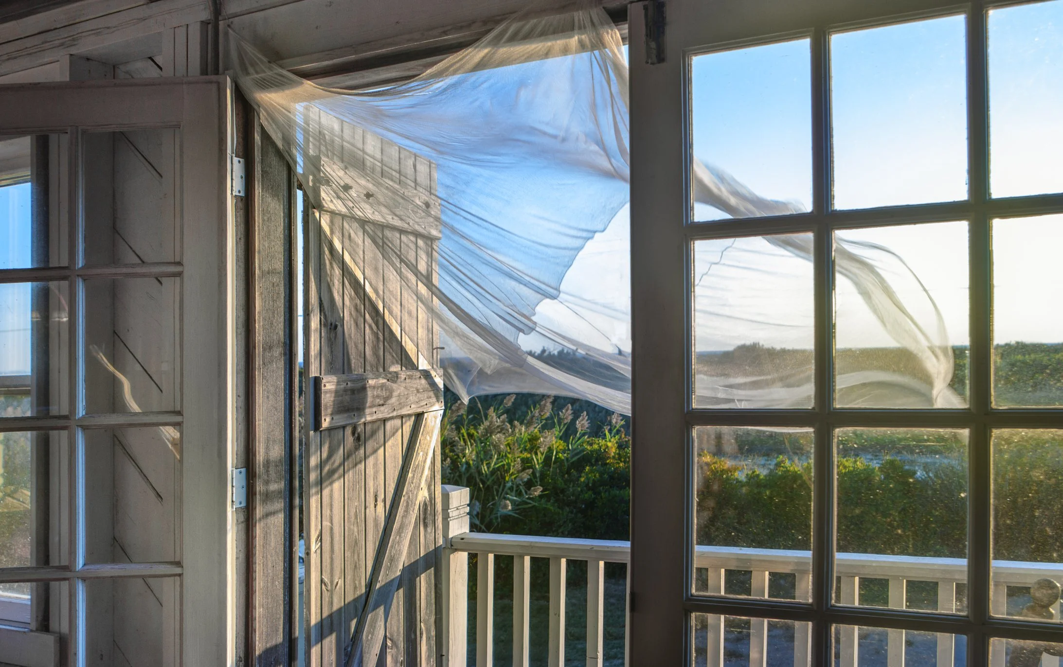 How to Cope with the Summer Heat