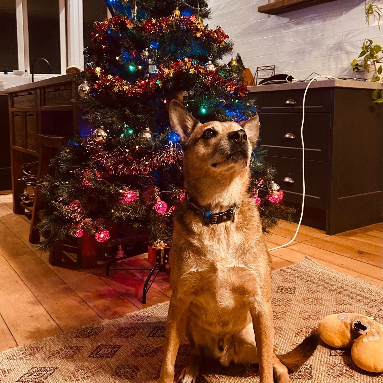 The end of the year brings a natural pause. It can be a moment to relax and connect but equally it might be a time to notice what no longer deserves space.

As the year closes, it&rsquo;s worth naming the things you&rsquo;re ready to leave behind. Th