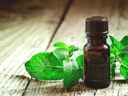 GRANDMA's REMEDIES
Peppermint oil for headaches
When a pounding headache threatens to derail your day, reach for a bottle of peppermint oil, just like Grandma would have done. Applied topically to the temples and forehead, peppermint oil provides a c