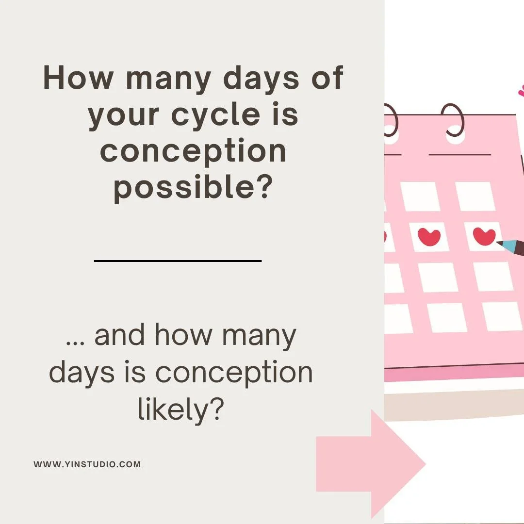 One of the most common questions I am asked by fertility clients.

#fertilityacupuncture #yinstudio #acupuncturebrisbane #fertilitysupport #chinesemedicine #HolisticHealth #TCM  #naturalfertilitysupport #conceptions #conceptionjourney #fertility #fer