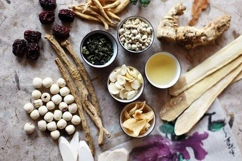 The Role of Digestion