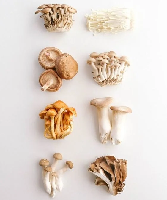 Are Mushrooms Magic?