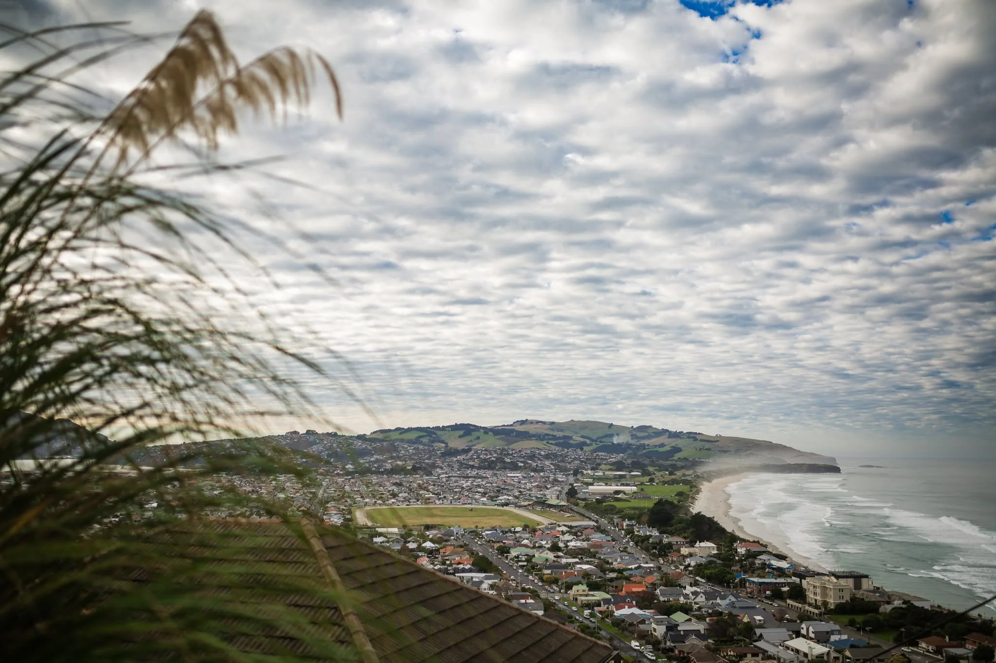 Dunedin-She-Hunts-Op-Shops