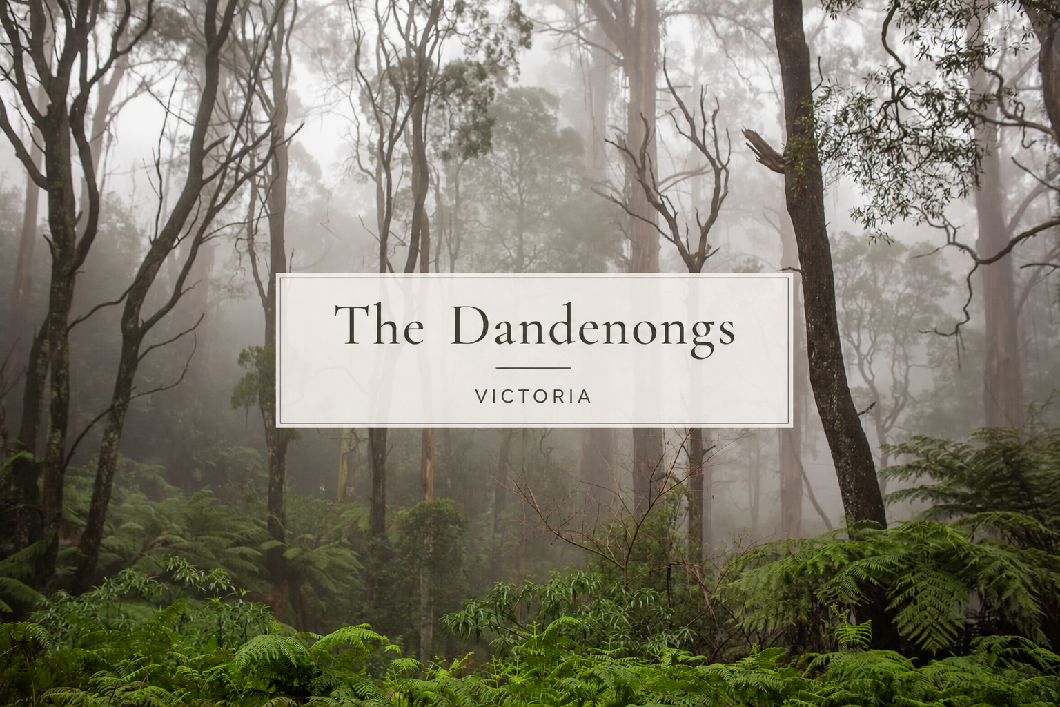 Dandenongs op shop and vintage treasure guide, featuring a curated second-hand shop in the Dandenong Ranges, Victoria.
