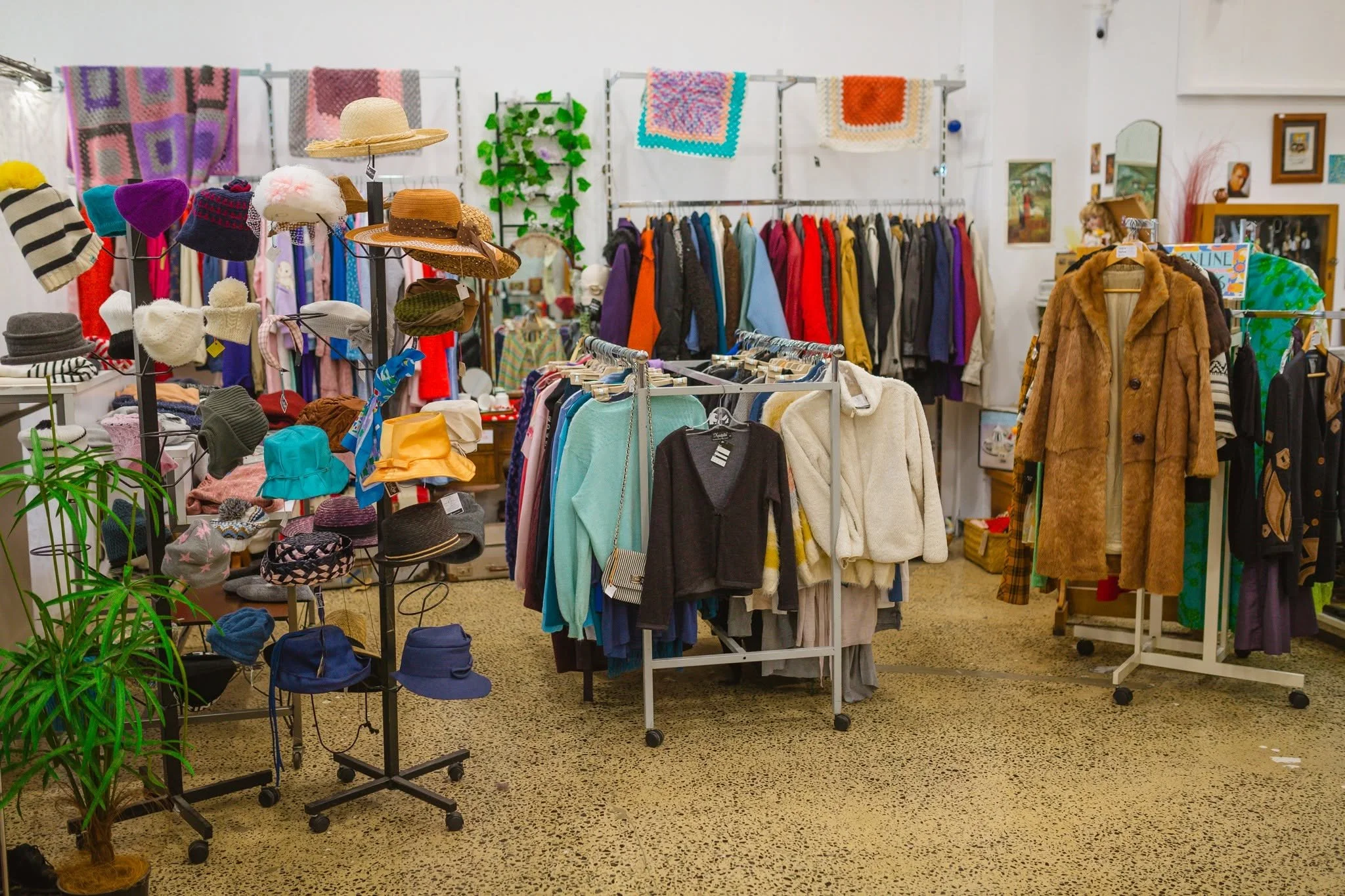 Dunedin Ōtepoti Op Shop & Treasure Guide