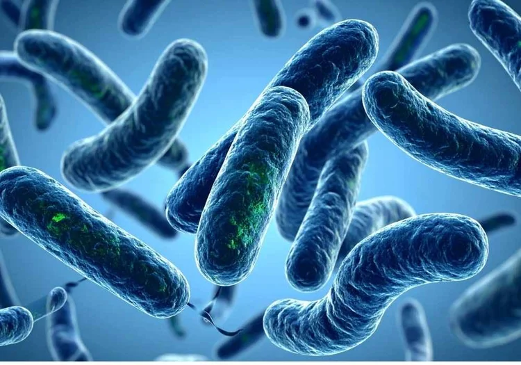 Pink algae bloom in salt lake