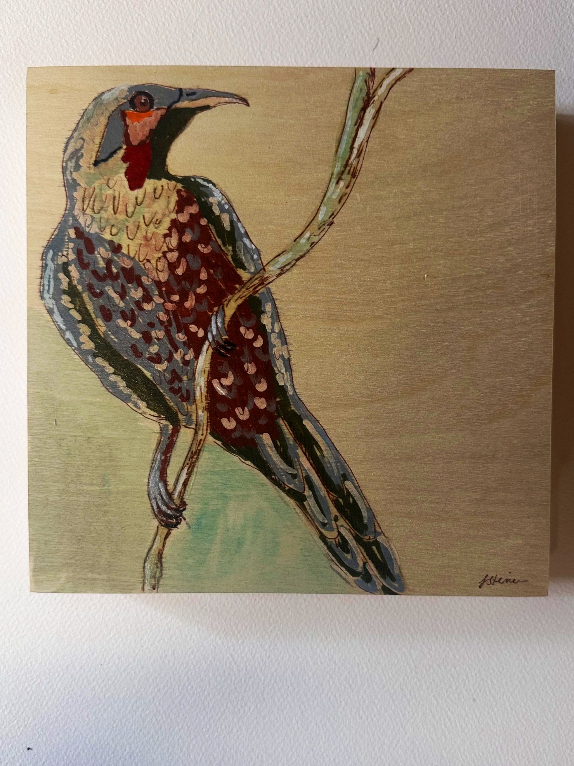 Wattle bird at Fairyland