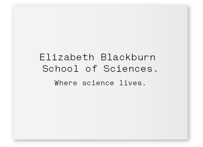 Copywriting Samples-03.png