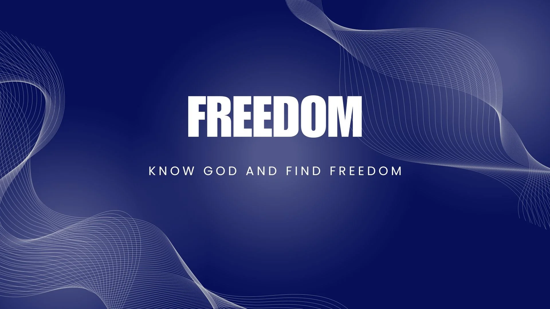 Freedom Web Design.jpg