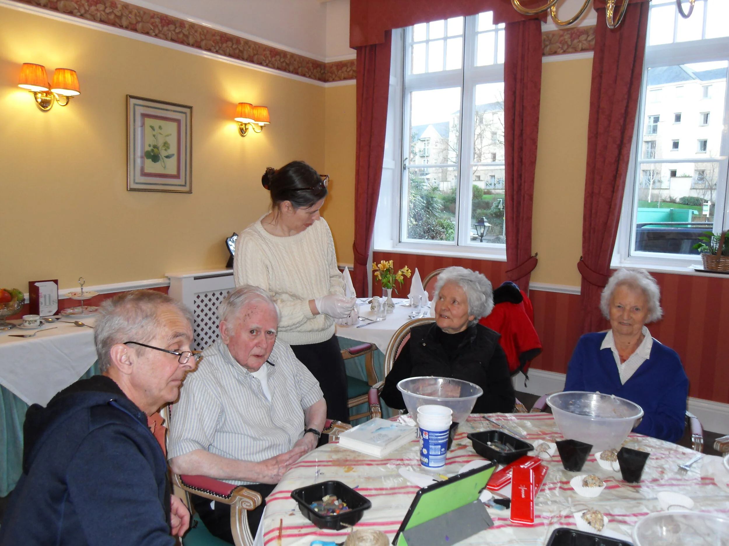 looking after our feathered friends