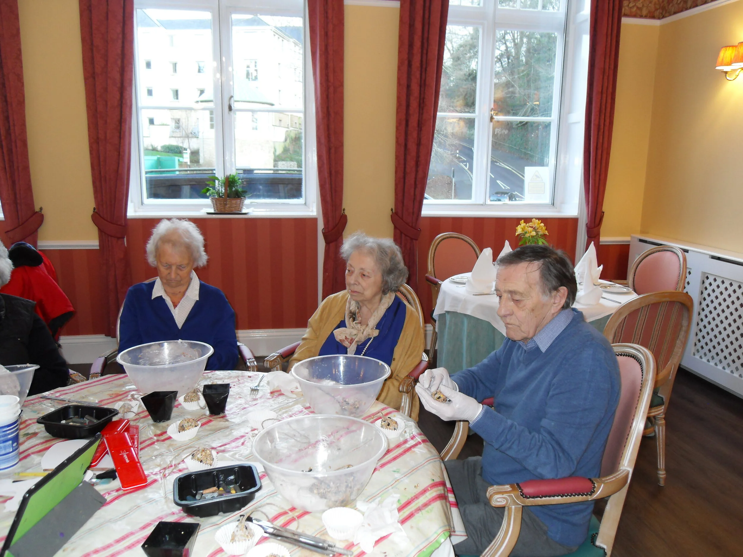 looking after our feathered friends