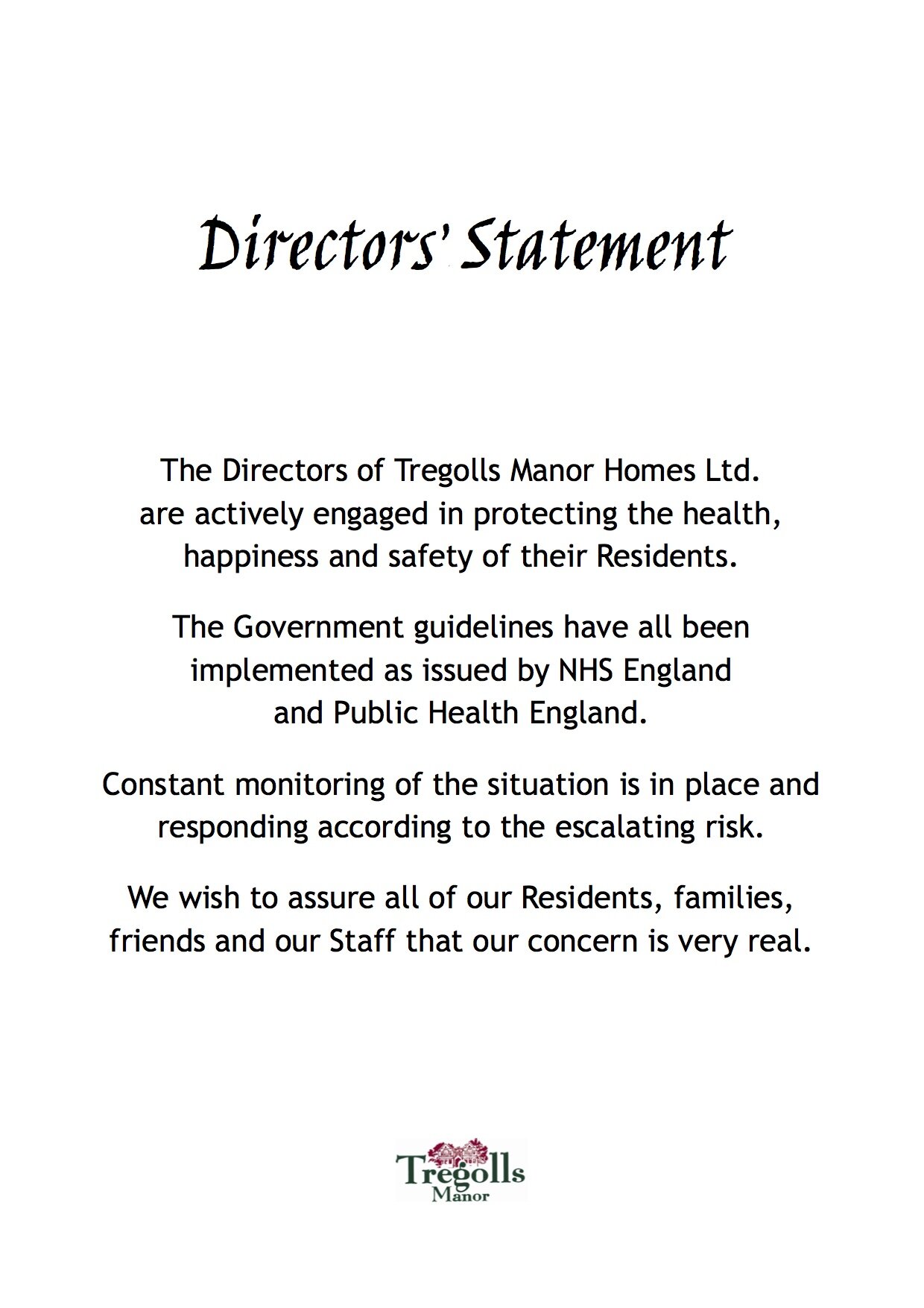 example directors statement