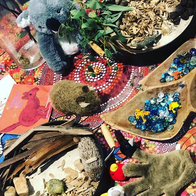 A multi sensory provocation for our Toddlers. Encouraging children to learn about and explore our Australian flora and fauna, and to value and appreciate our native animals and environment.