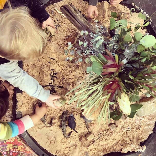 As we celebrate Reconciliation Week in the Toddler classroom, the children have been exploring the connection our Indigenous people have to the land.