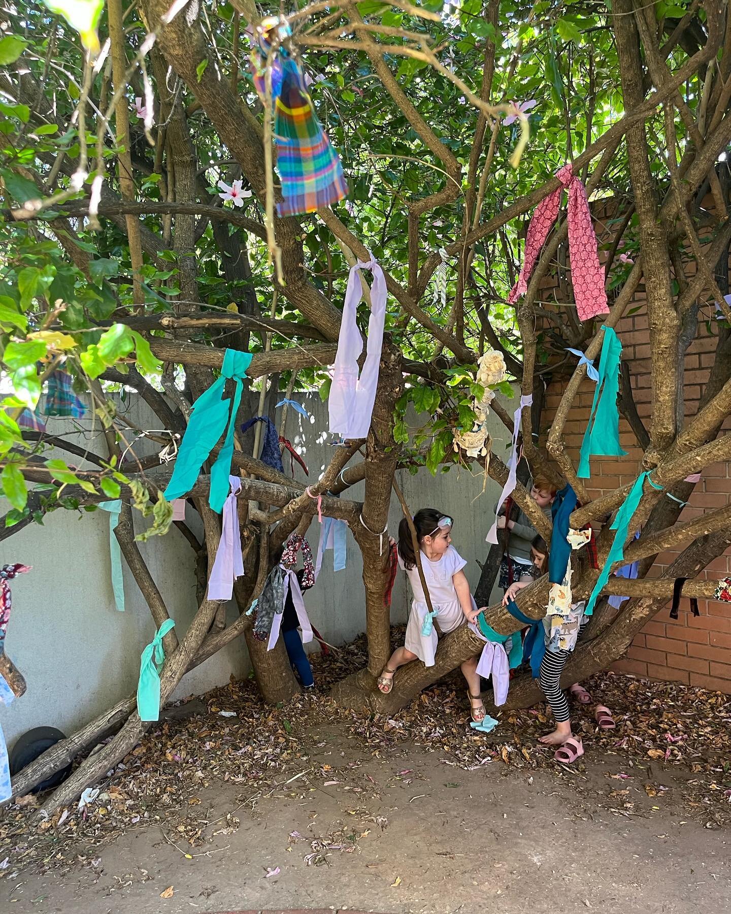 This morning kindergarten children and educators engaged in a conversation about different forms of expressing gratitude. This discussion stemmed from our morning ritual of acknowledging the Kaurna land. Children shared how gratitude can be expressed