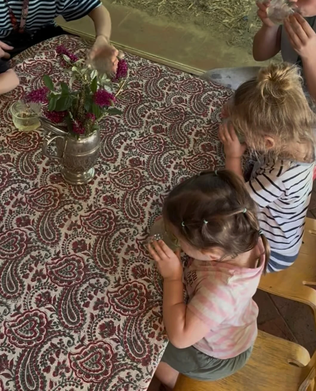 Tea Ritual 🫖 

#teatime #ritual #ashgrovehouse #bowereducation #reggioinspired