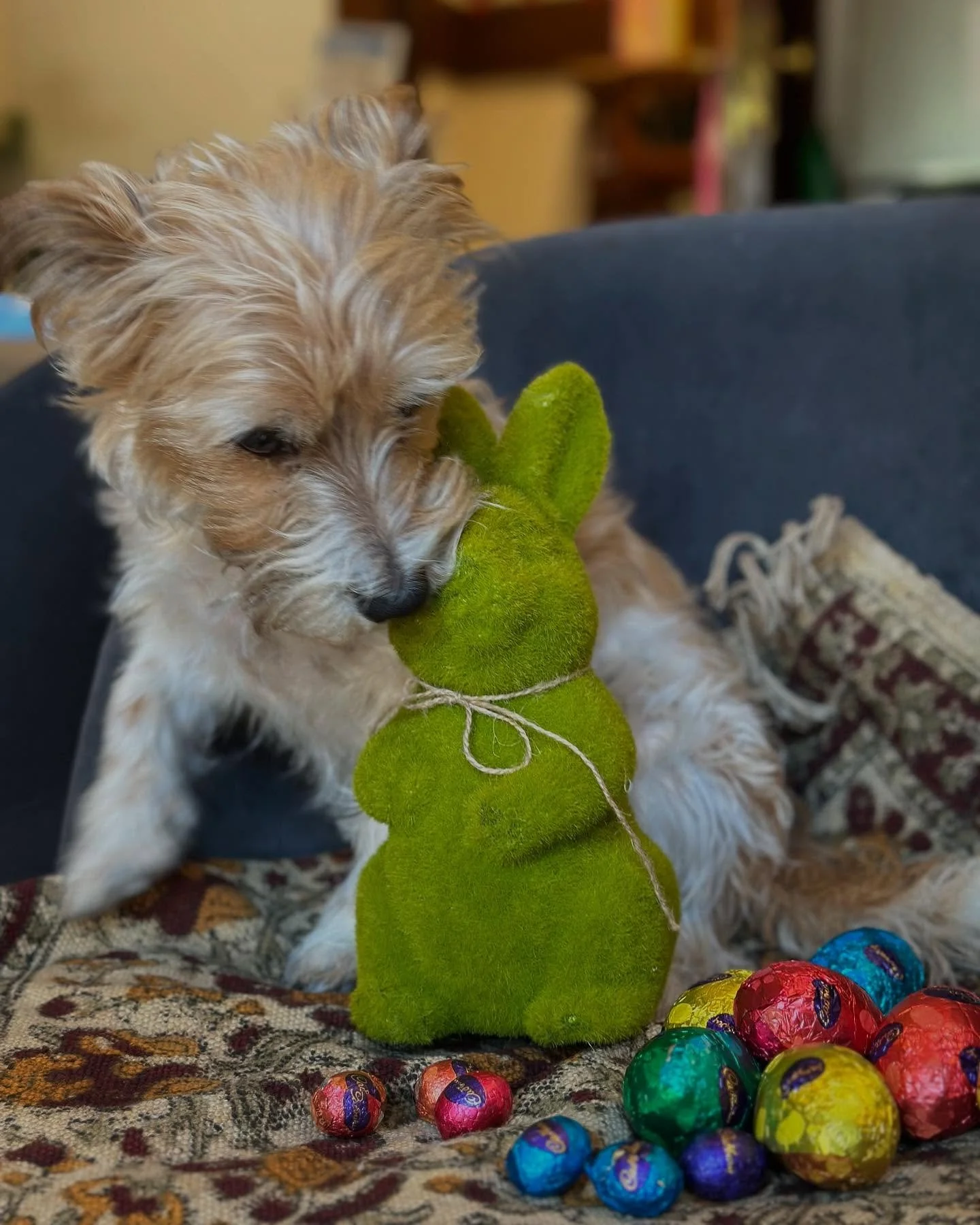 We have had a fun cozy week in our Pyjamas! We hope our Ashgrove Families have a beautiful, relaxing long weekend 🐰🧡
.
.
.
#ashgrovehouse #bowereducation
