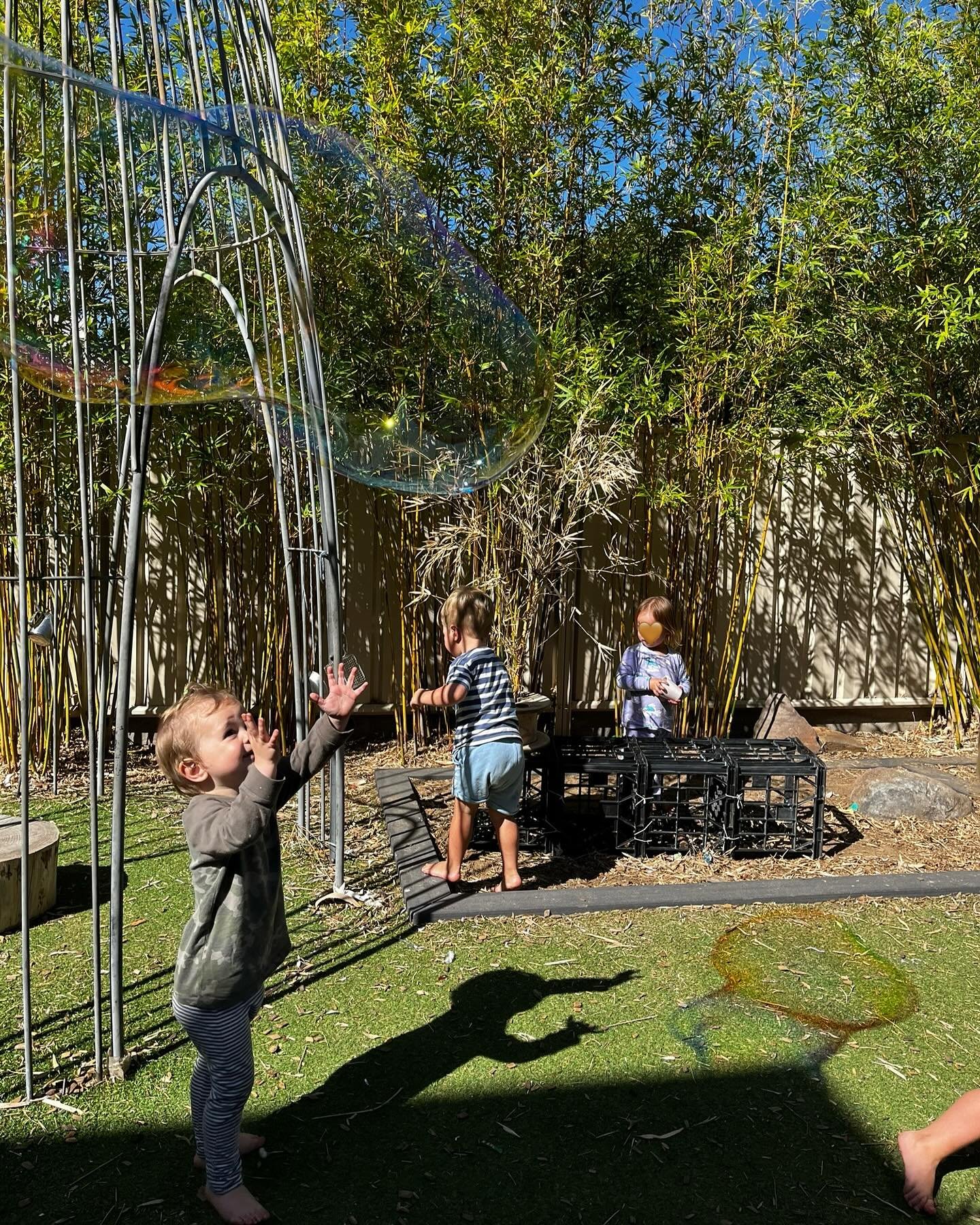 Highlights from the week 🌱🫧 
.
.
.
#ashgrovehouse #bowereducation #prospectrd