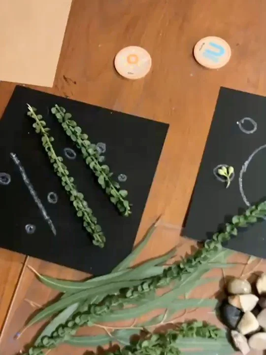 This week, we are celebrating National Reconciliation Week and embracing this year&rsquo;s theme, &ldquo;All In.&rdquo;
Through storytelling, art, music, discussions, and shared experiences, our children are exploring the rich cultures, histories, an