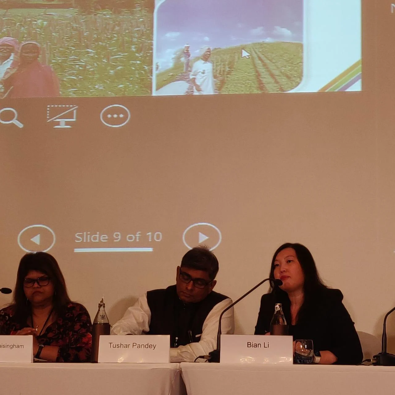 Bian Li spoke on a panel on Public Private Partnerships, where she focused on how such projects can be designed with sustainable business models with a market-based approach in order to ensure longevity beyond the pilot stage.