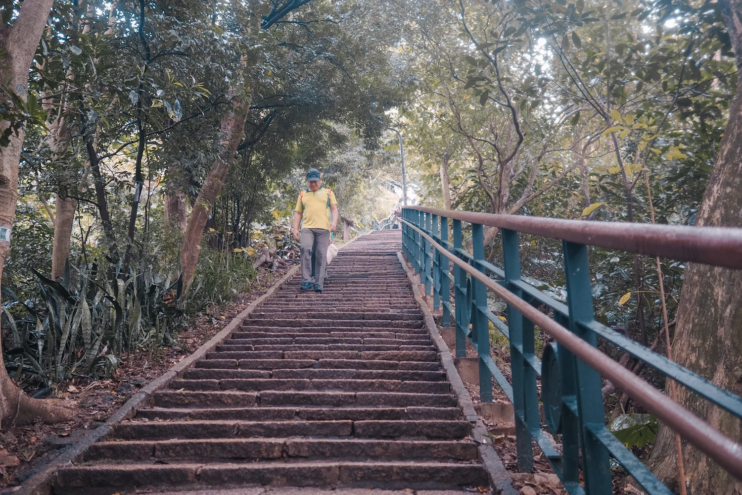 Steps! Hundreds of steps!