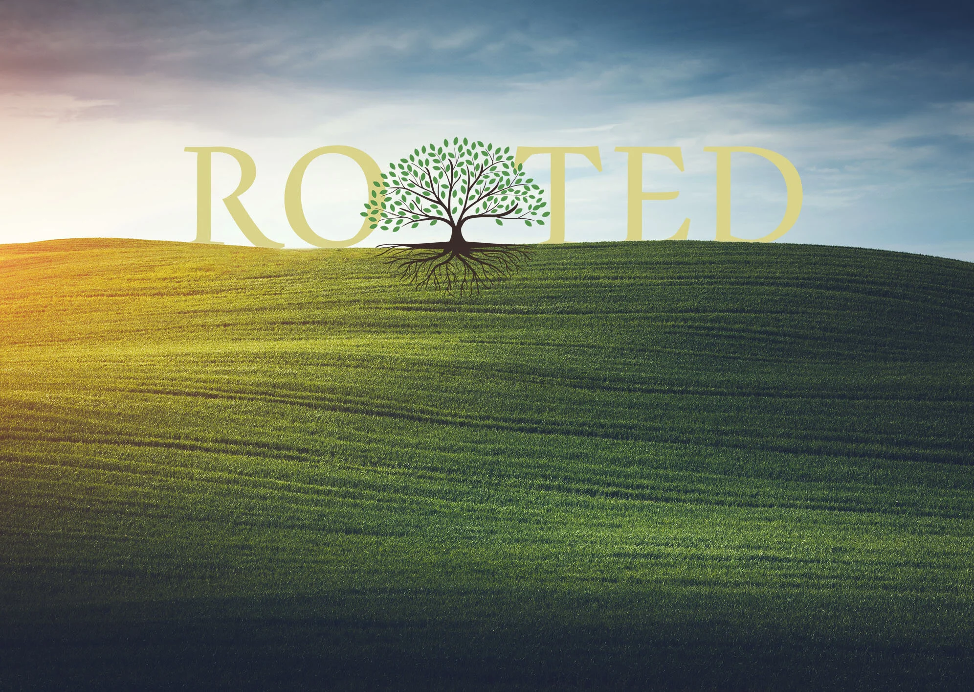 JKCS-Banner-ForHomePage-Rooted-CROP.jpg