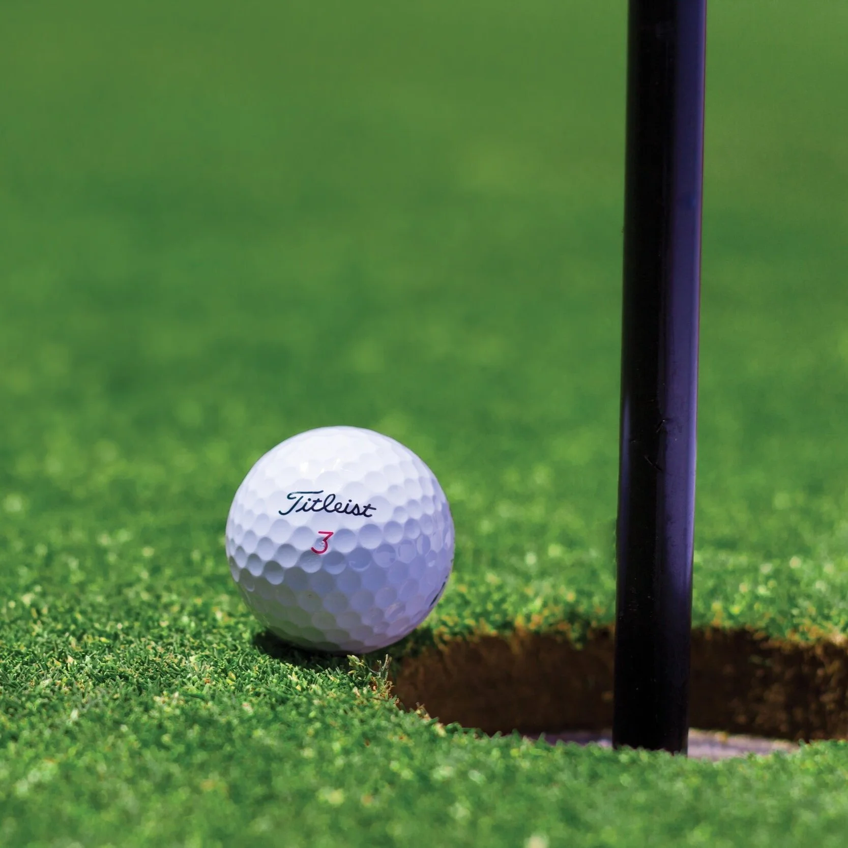 Golf Tournament &amp; BBQ