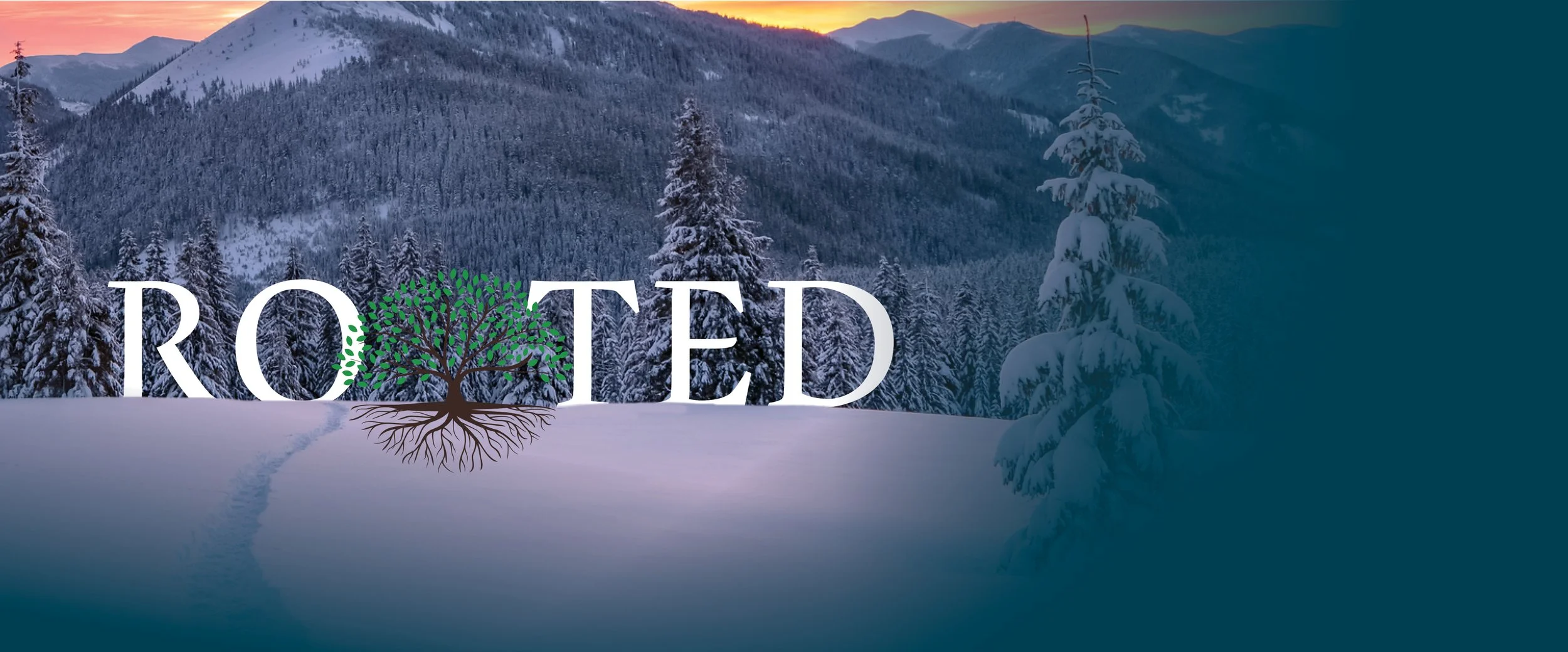 Rooted-Winter-Banner-02-150dpi.jpg