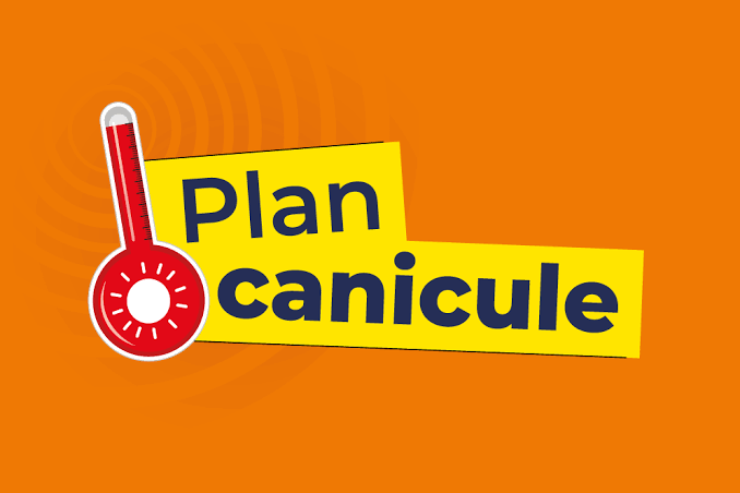 CANICULE