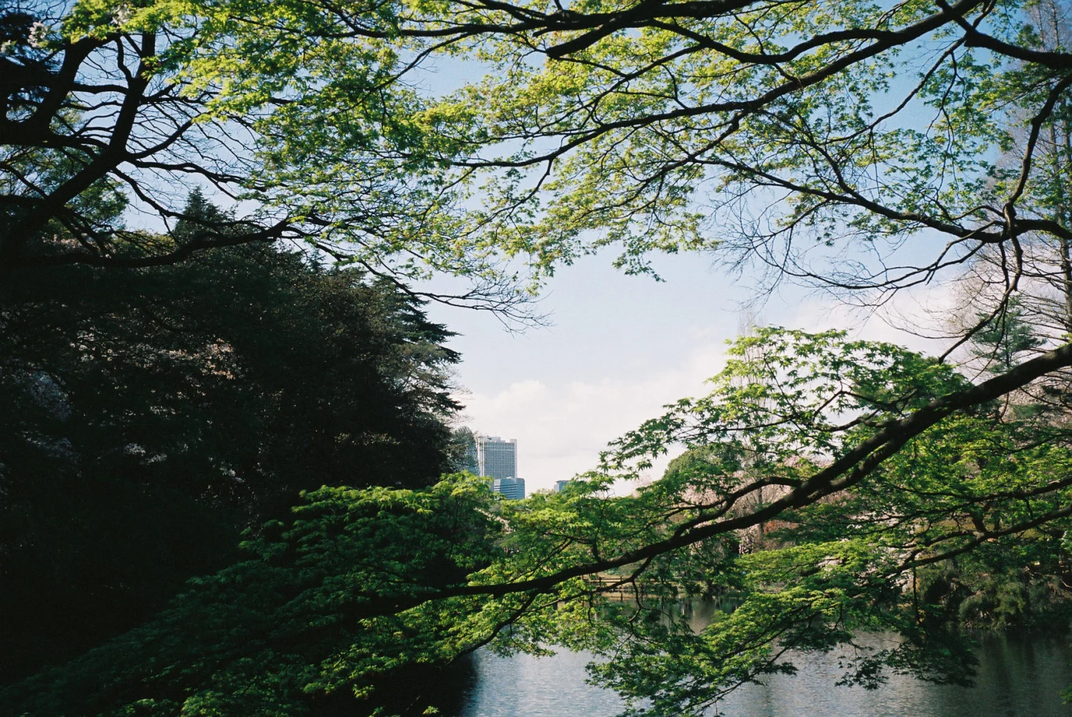 b8.jpg
