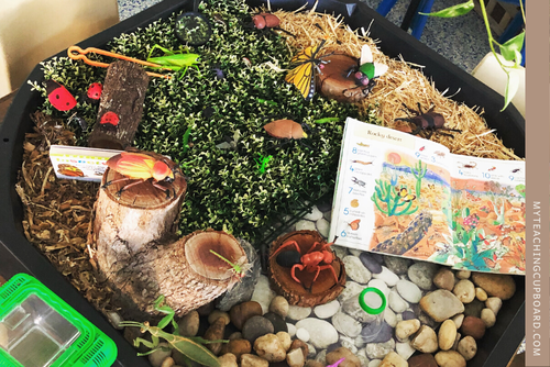 Insect Inquiry What is Inquiry Based Learning in Early Childhood? — My Teaching Cupboard