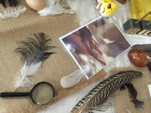 birds and feathers provocation for learning.jpg