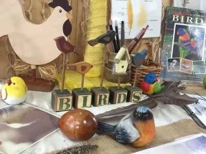 birds inquiry.jpg