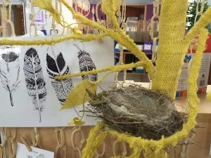 birds nest.jpg