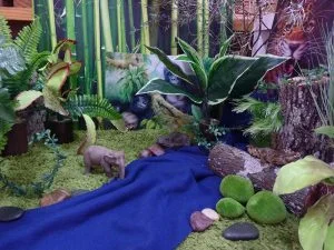jungle2-1-300x225.jpg