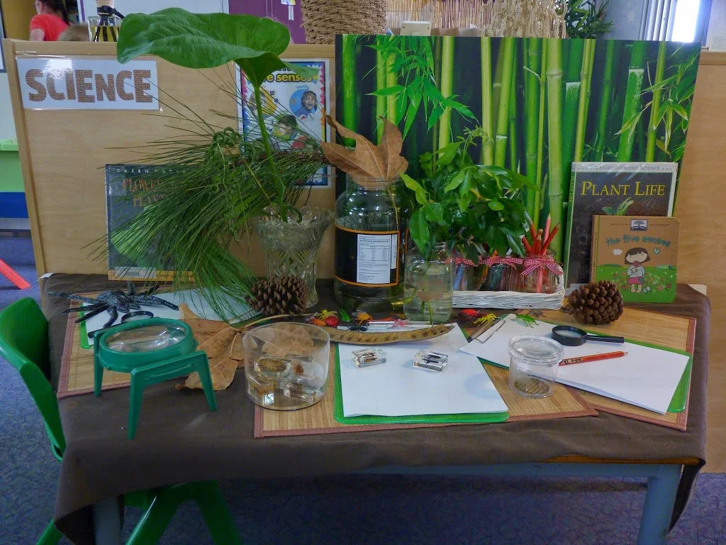 living things investigation area.jpg