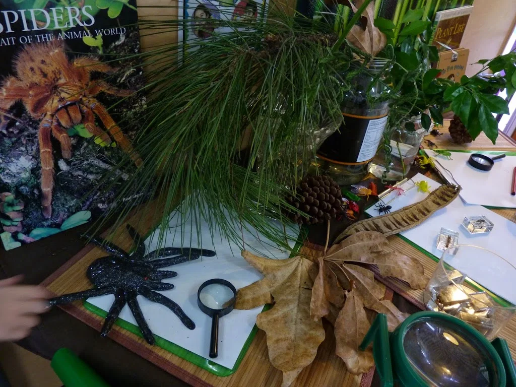 living things provocation for learning.jpg
