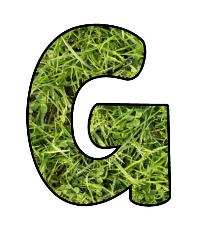Capital_G.jpg