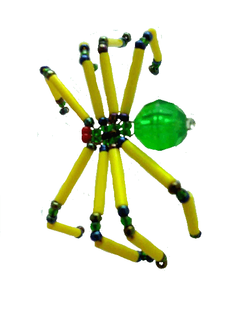 spider.gif