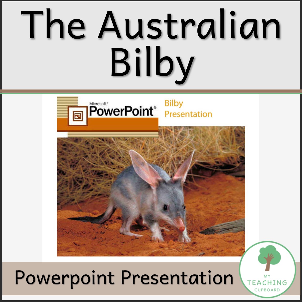 The Australian Bilby Powerpoint Presentation — My Teaching Cupboard The Australian Bilby Powerpoint Presentation — My Teaching Cupboard