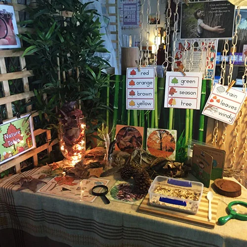 science-autumn-table.jpg