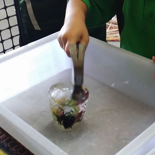 sensory-ice.jpg