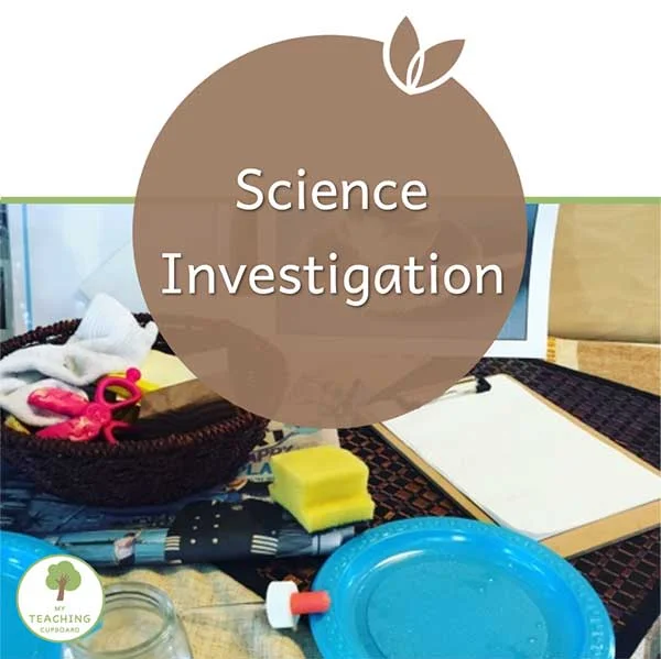 Science Investigation  