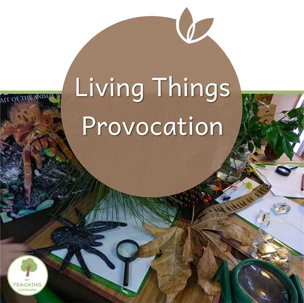 Living Things Provocation  