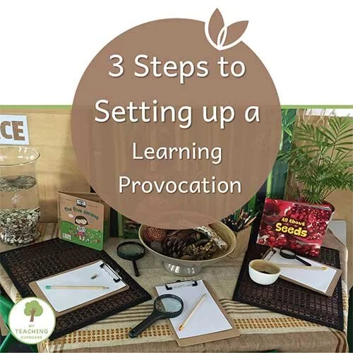 3 Steps to Setting Up Learning Provocations for Play based Learning