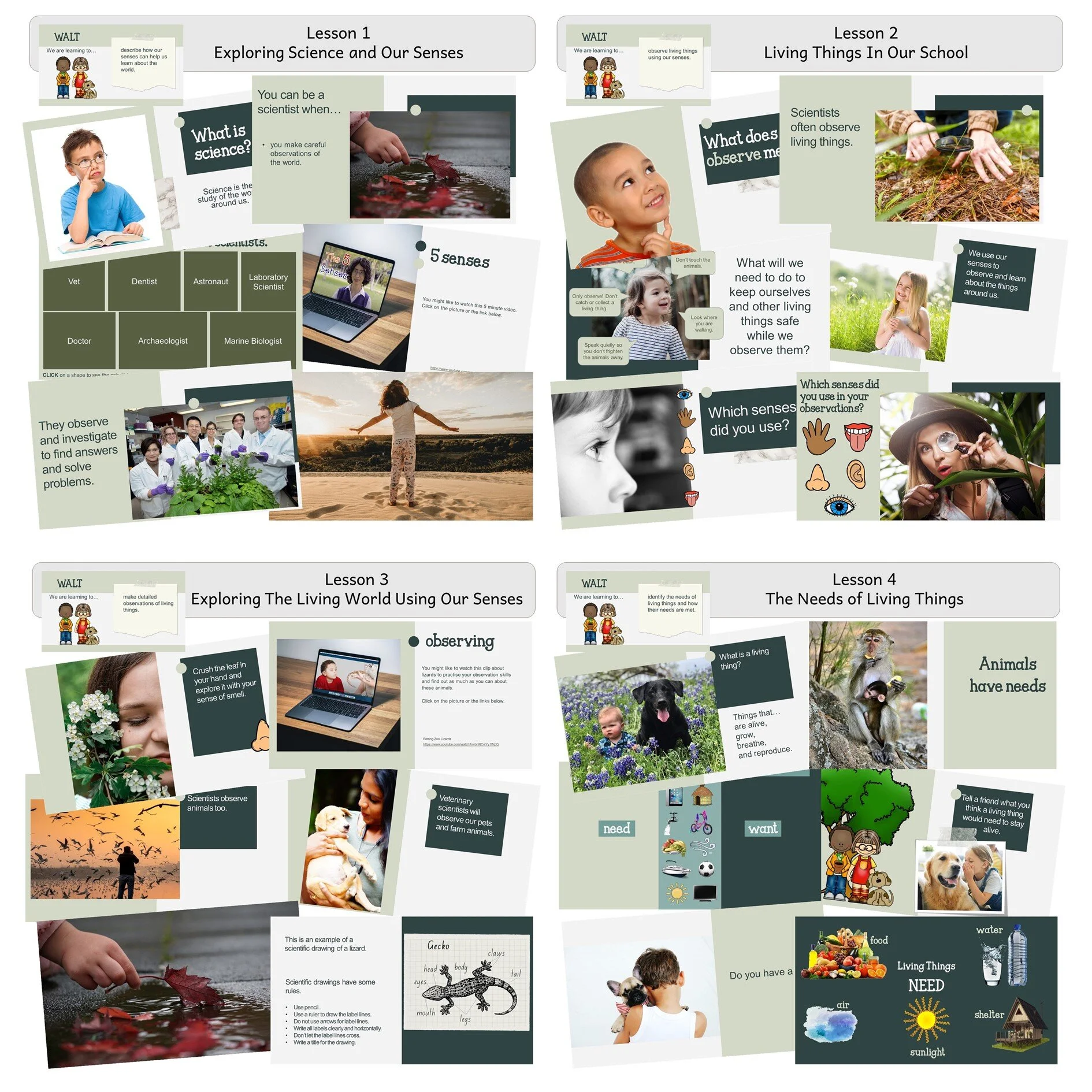 Living Things Lessons 1.JPG