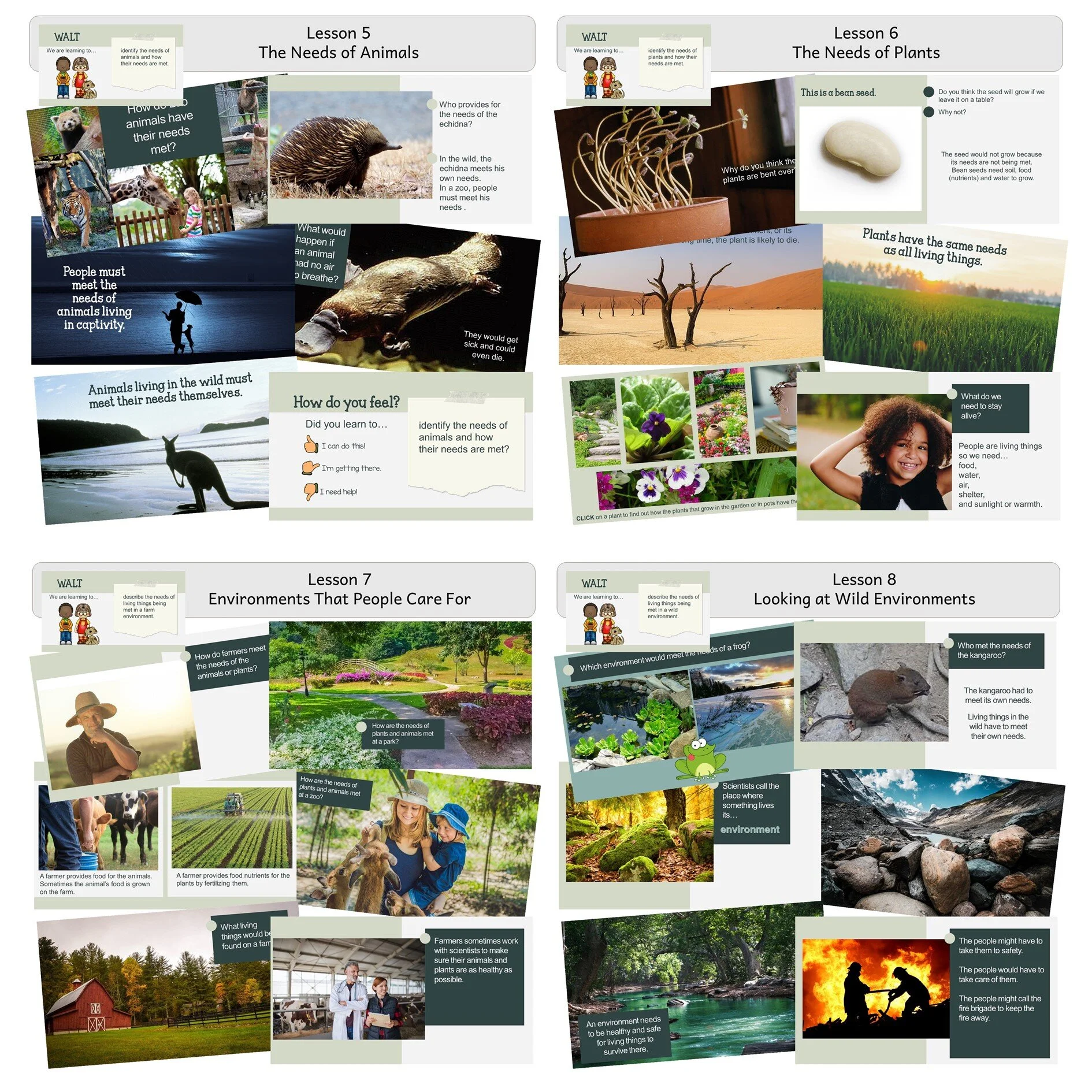 Living Things Lessons 2.JPG